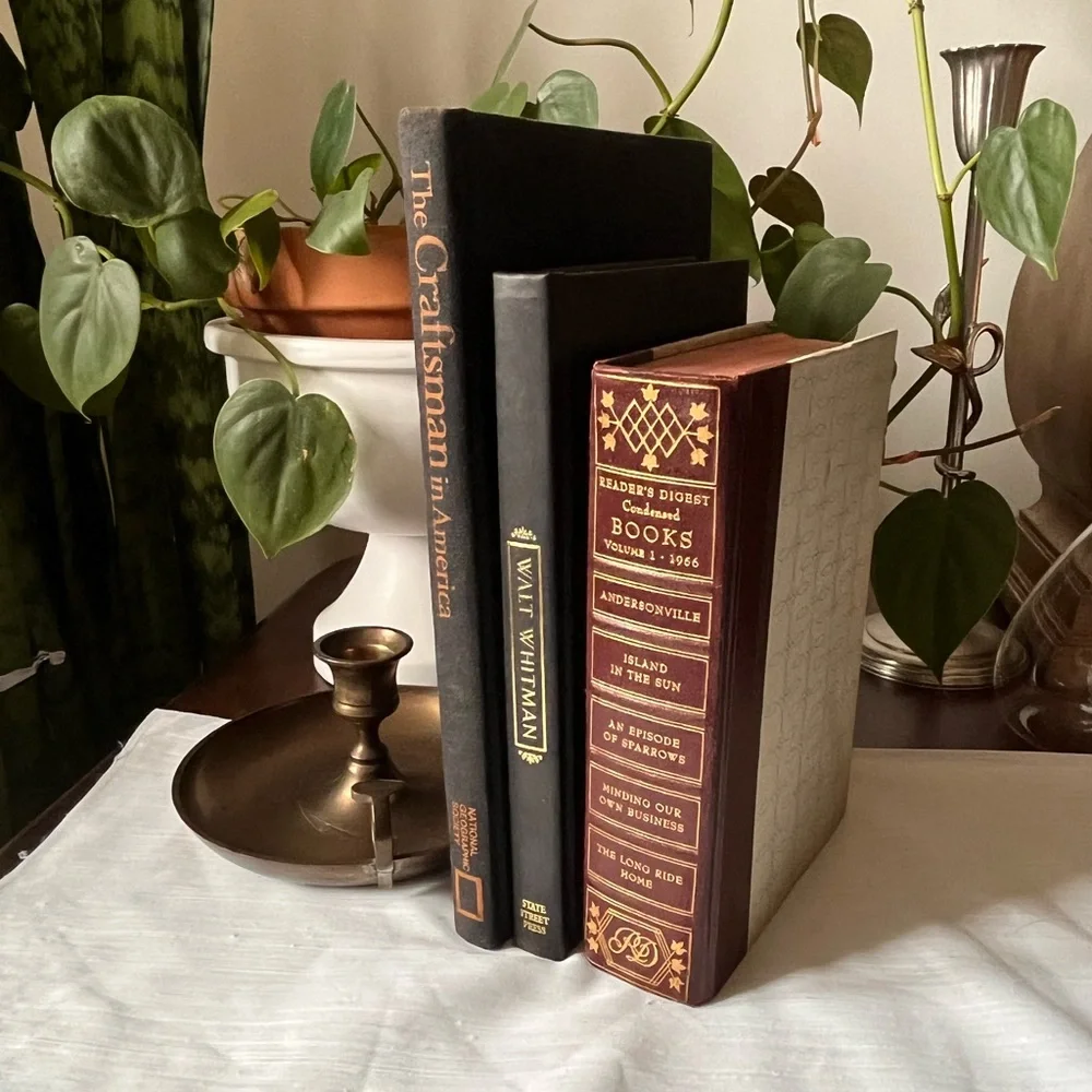 Curated Book Stack Set Decorative Vintage Hardcover Shelf Filler Dark Tones